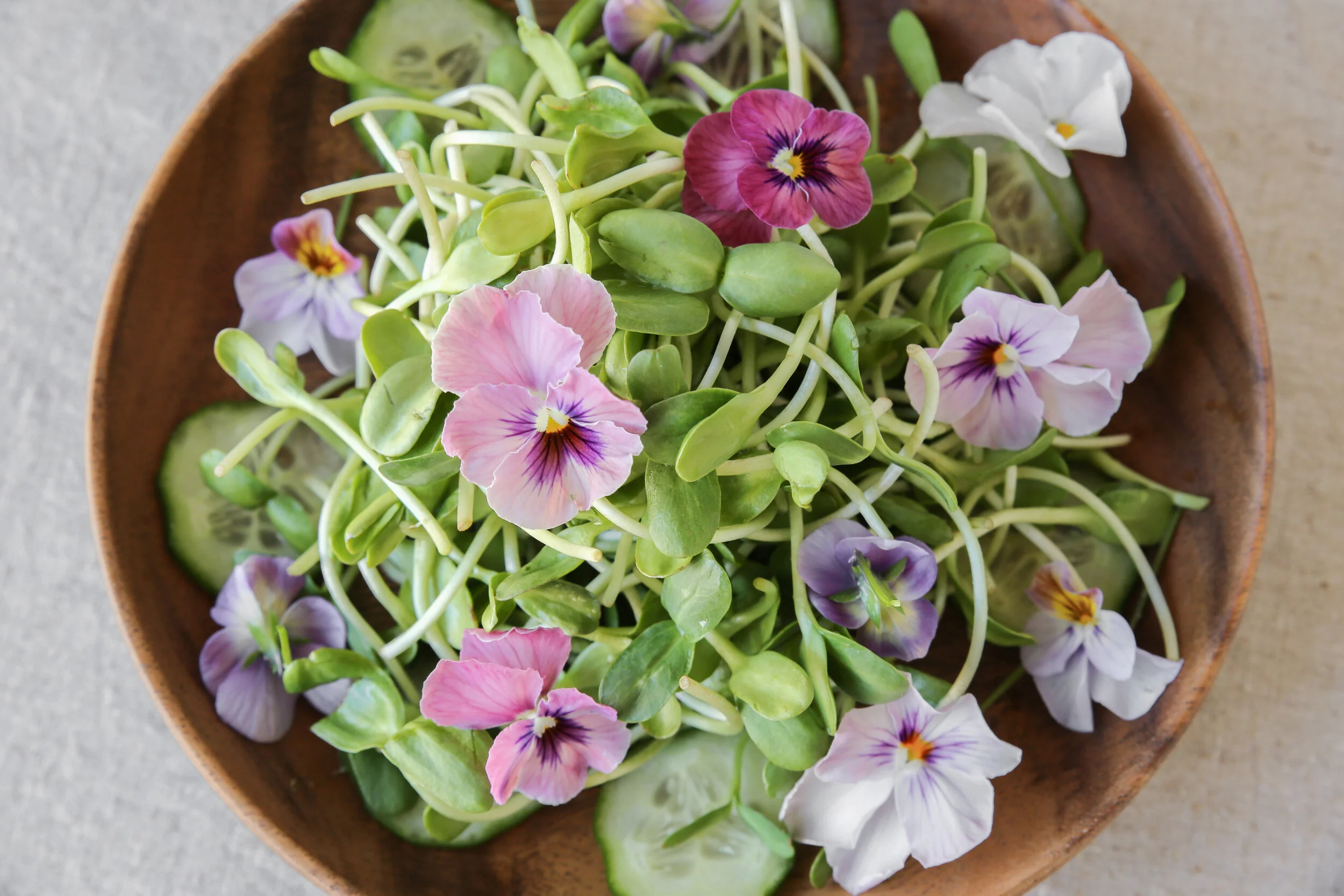 Edible Flowers Guide