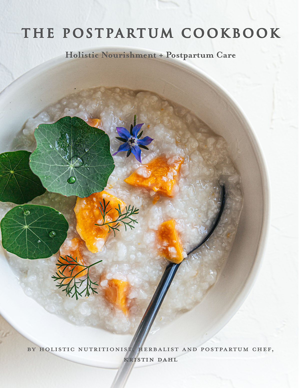 postpartum cookbook_cover.png