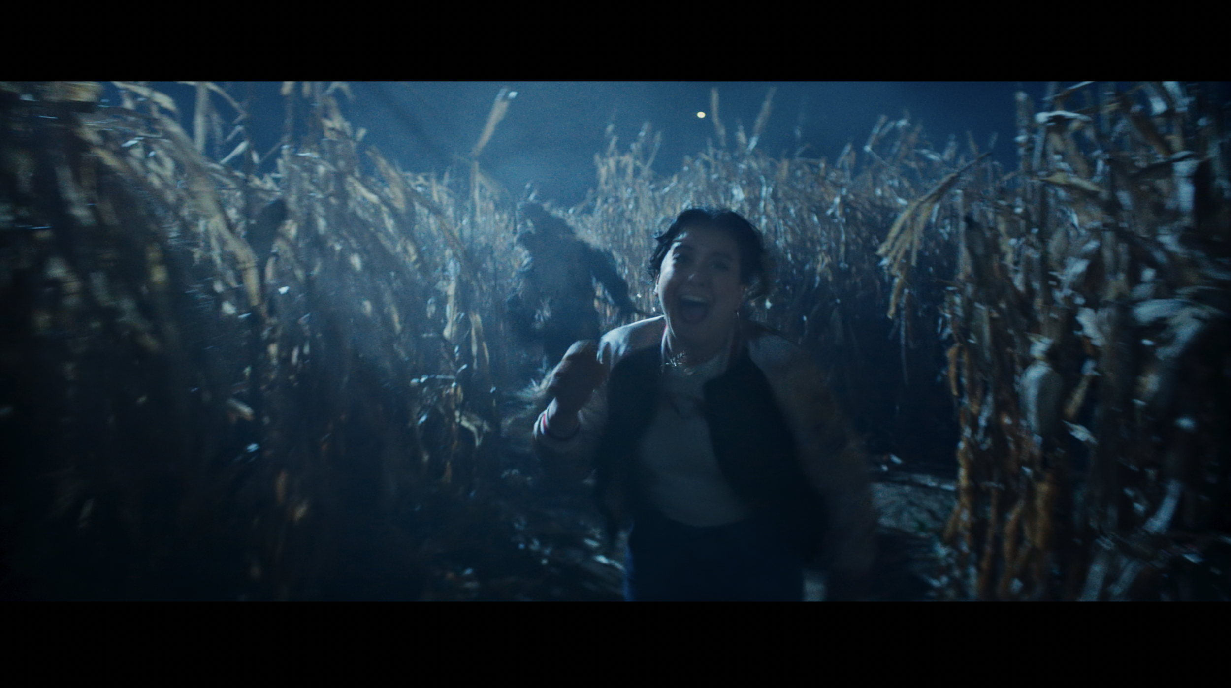 Mccain Pockets - Corn Maze