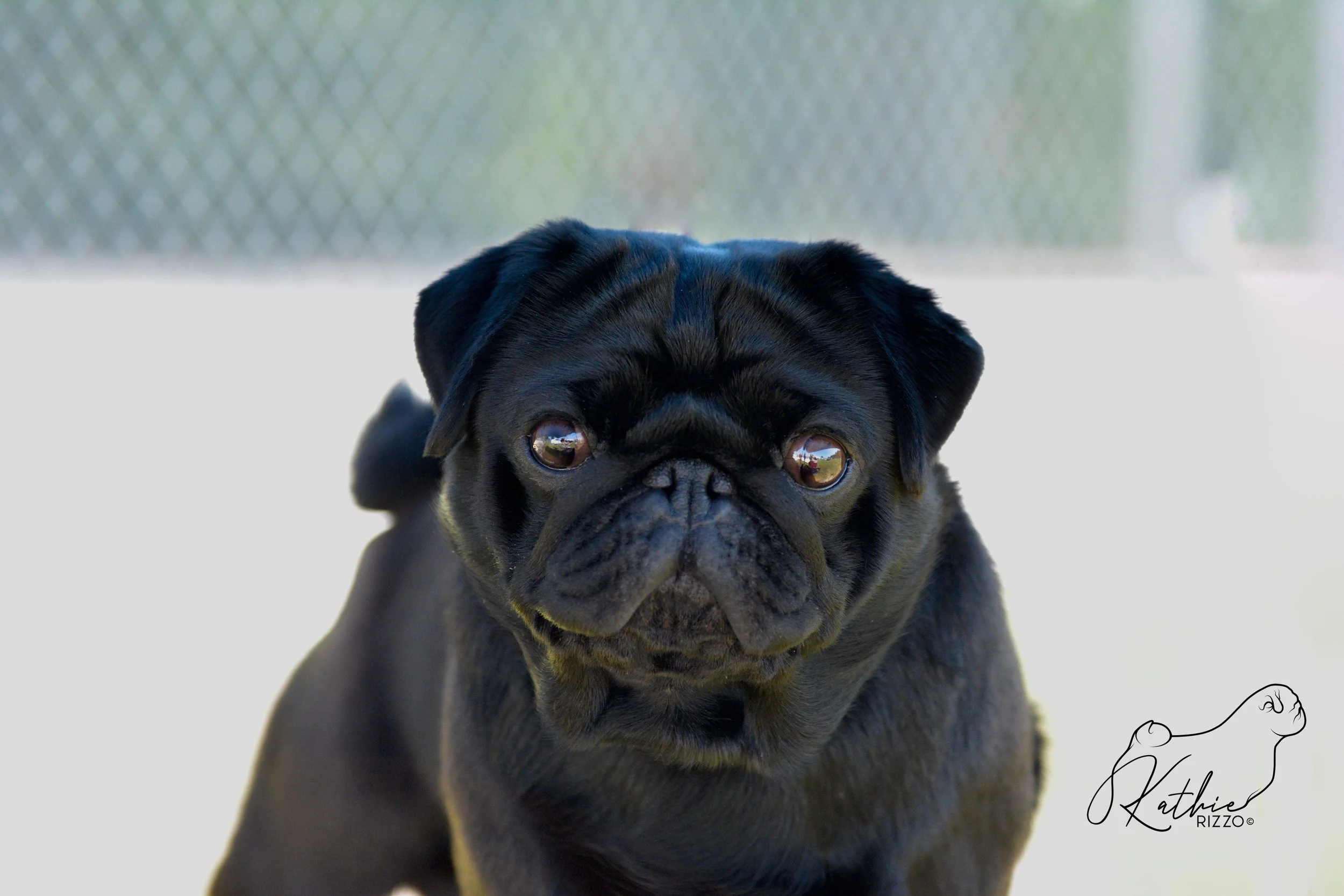 Radar head shot.JPEG