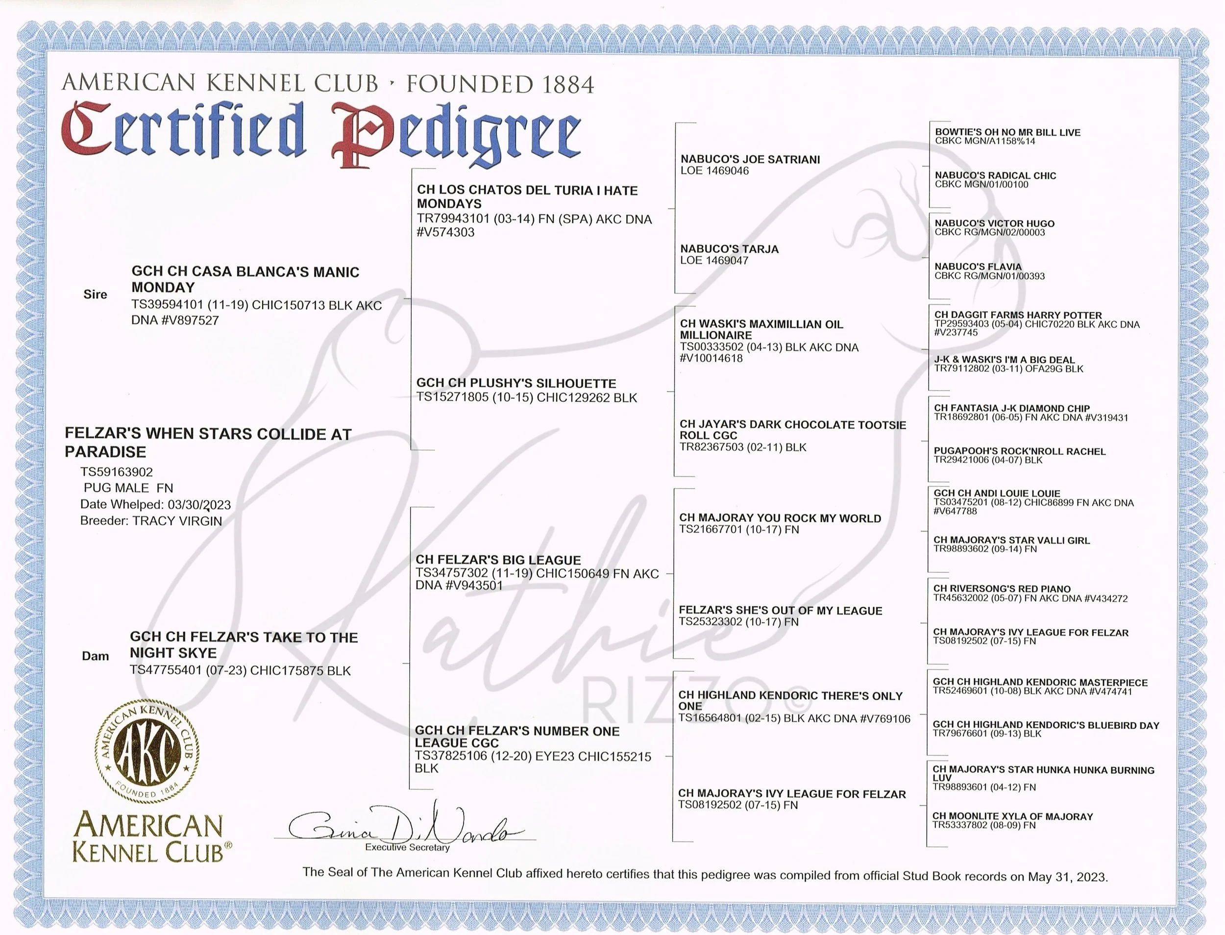 Mavericks Pedigree.JPEG