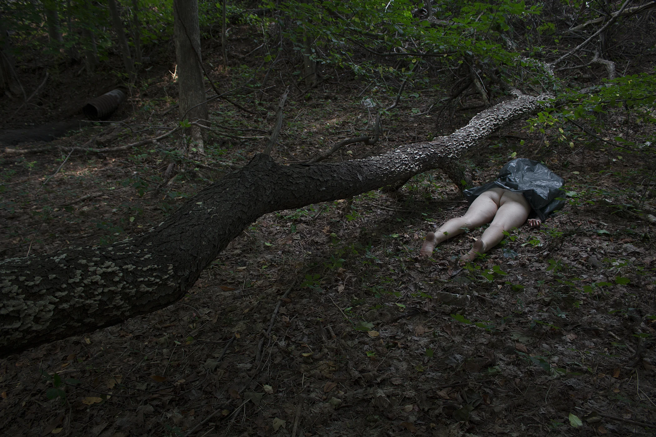 TrashBodyForestWEB.jpg