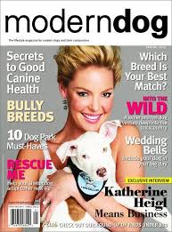 moderndog.jpeg