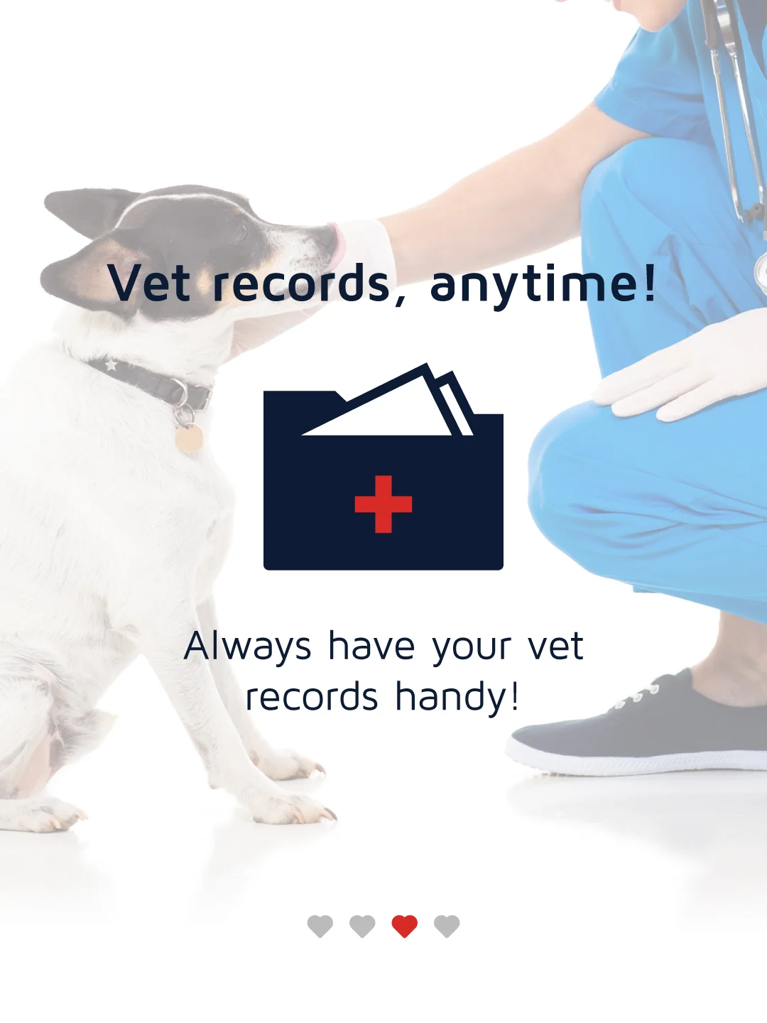 Vet-petting-dog.jpg