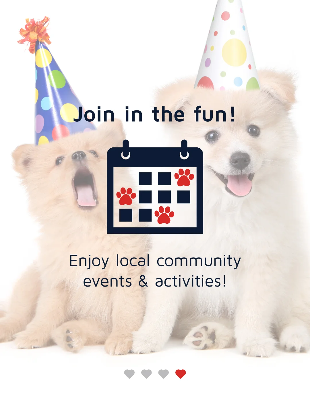 dogs-with-party-hats.jpg