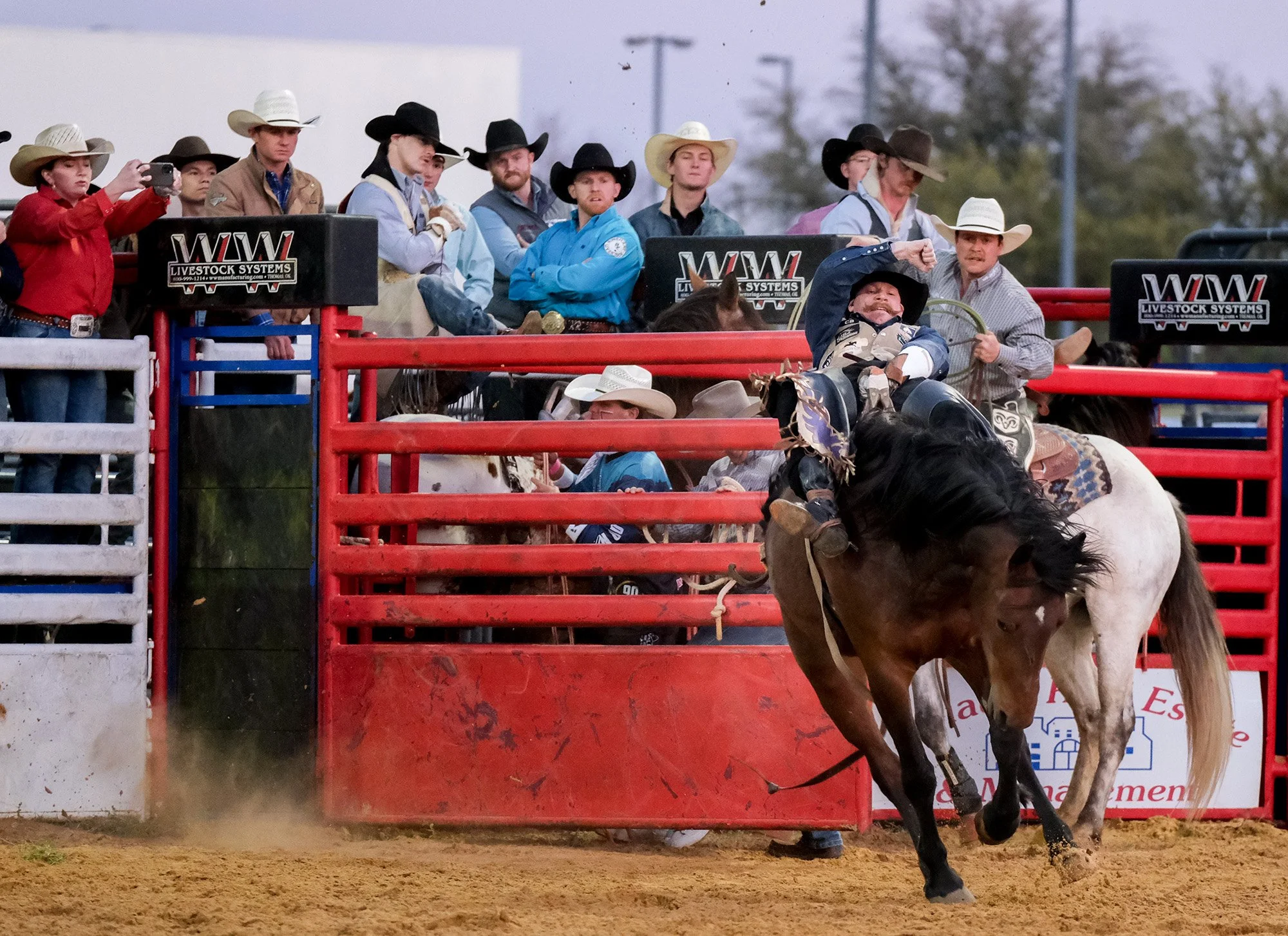 040822-Rodeo 2.jpg