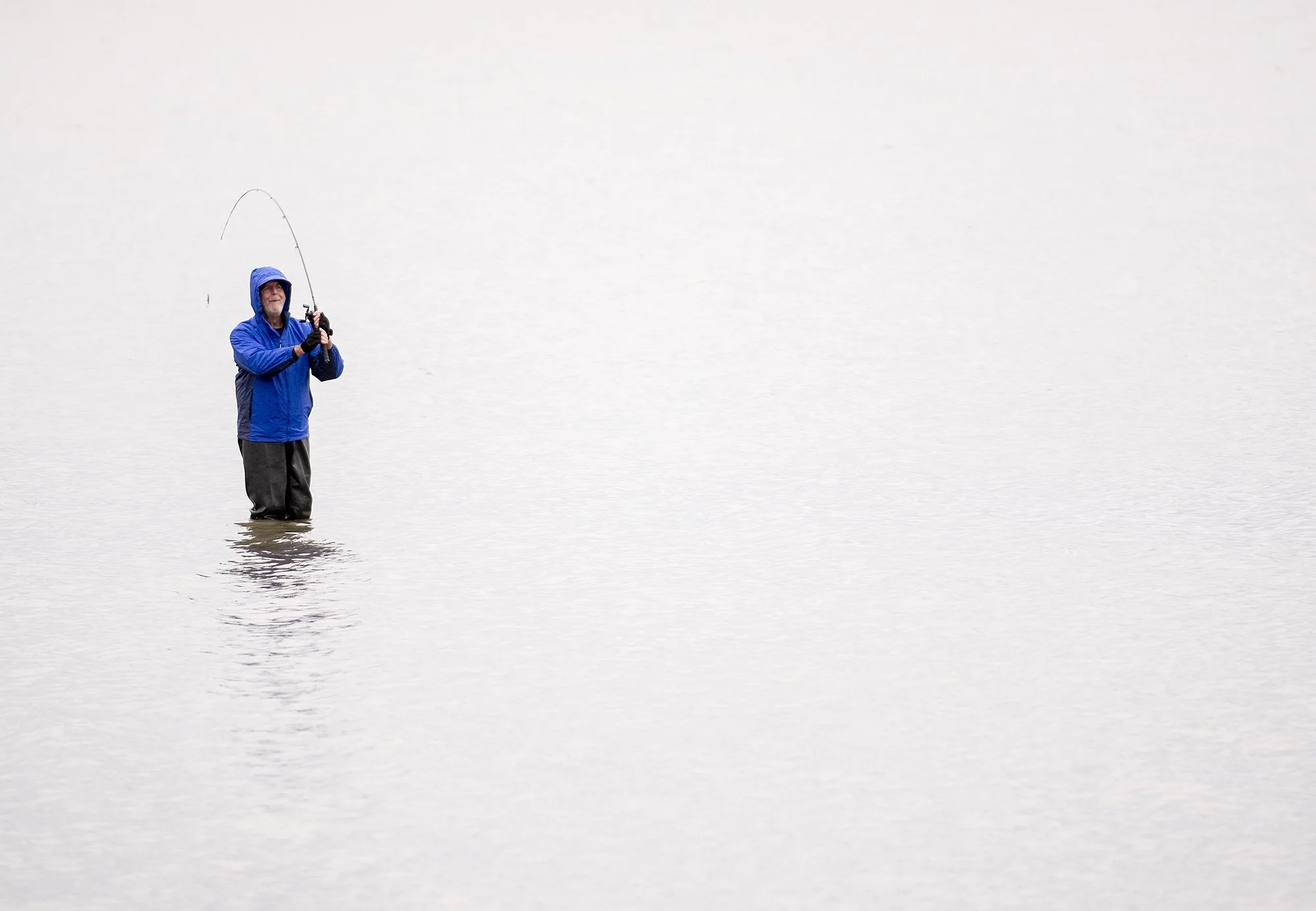 011720-Wild Art 1.jpg