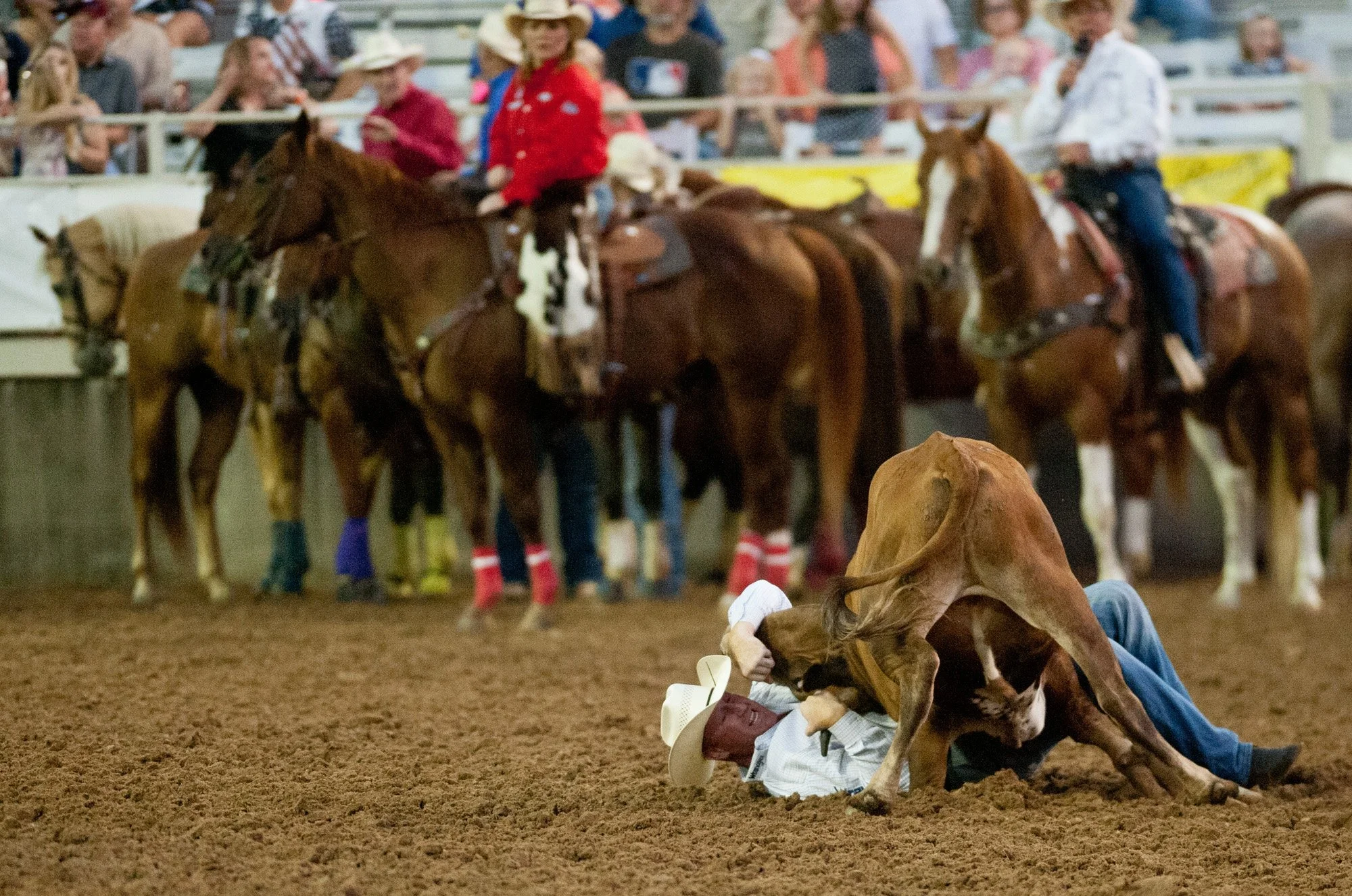 060916-GW Rodeo 3 (1).jpg