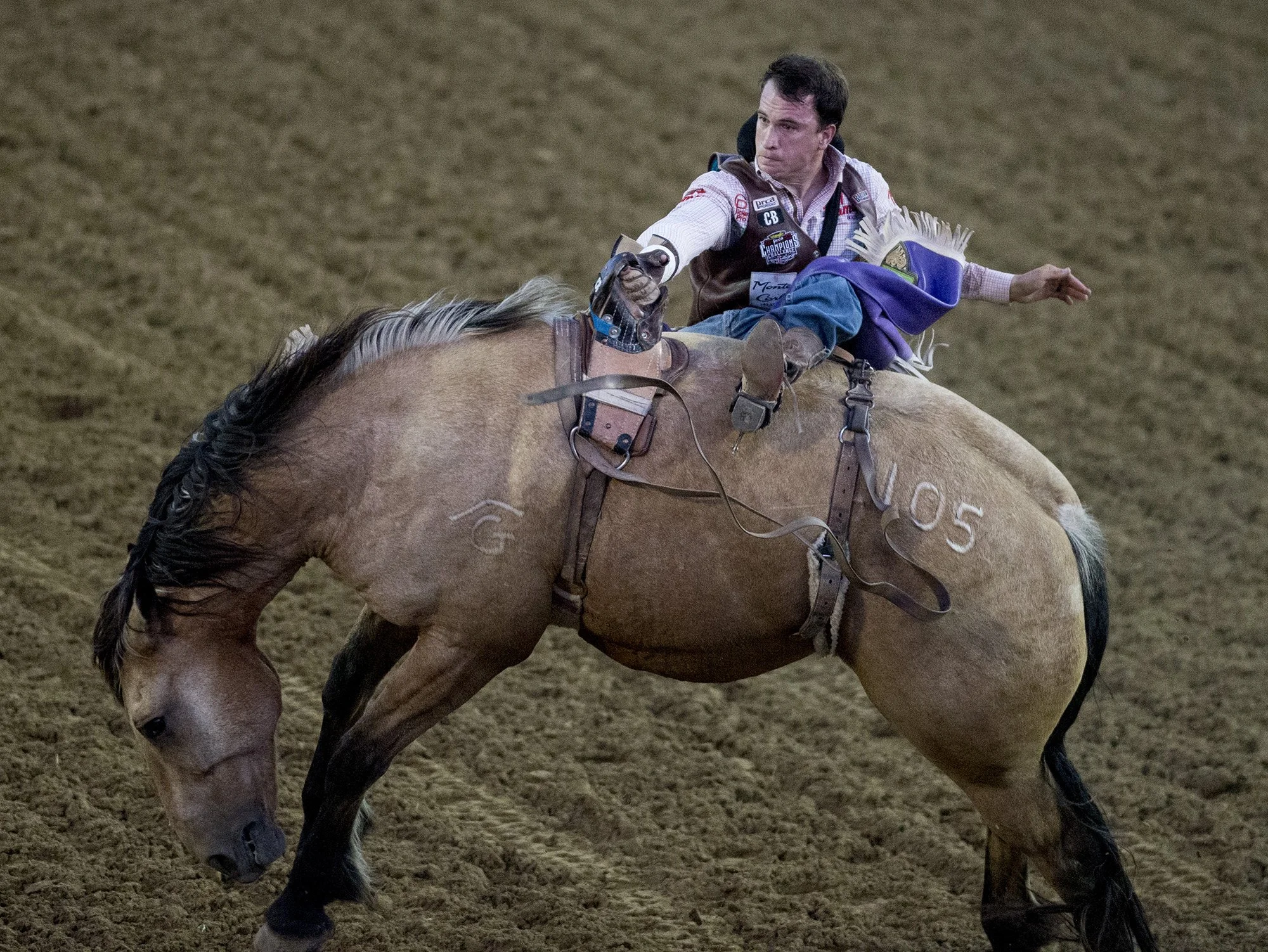 060817-Rodeo 5.jpg