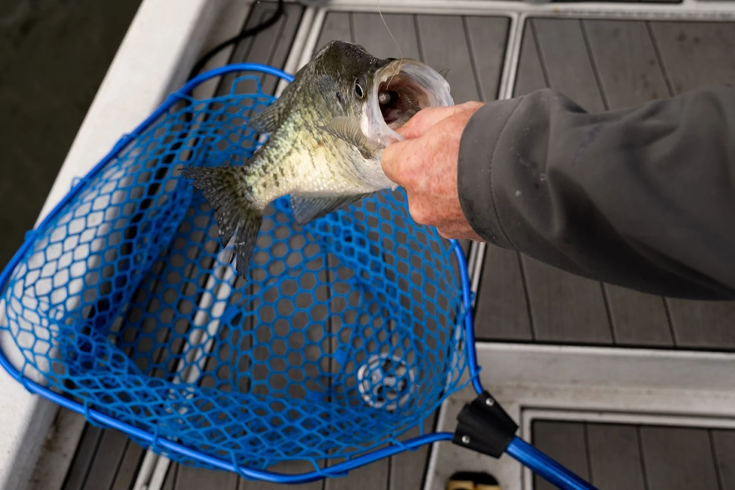 030623-Sam Parker 5.jpg