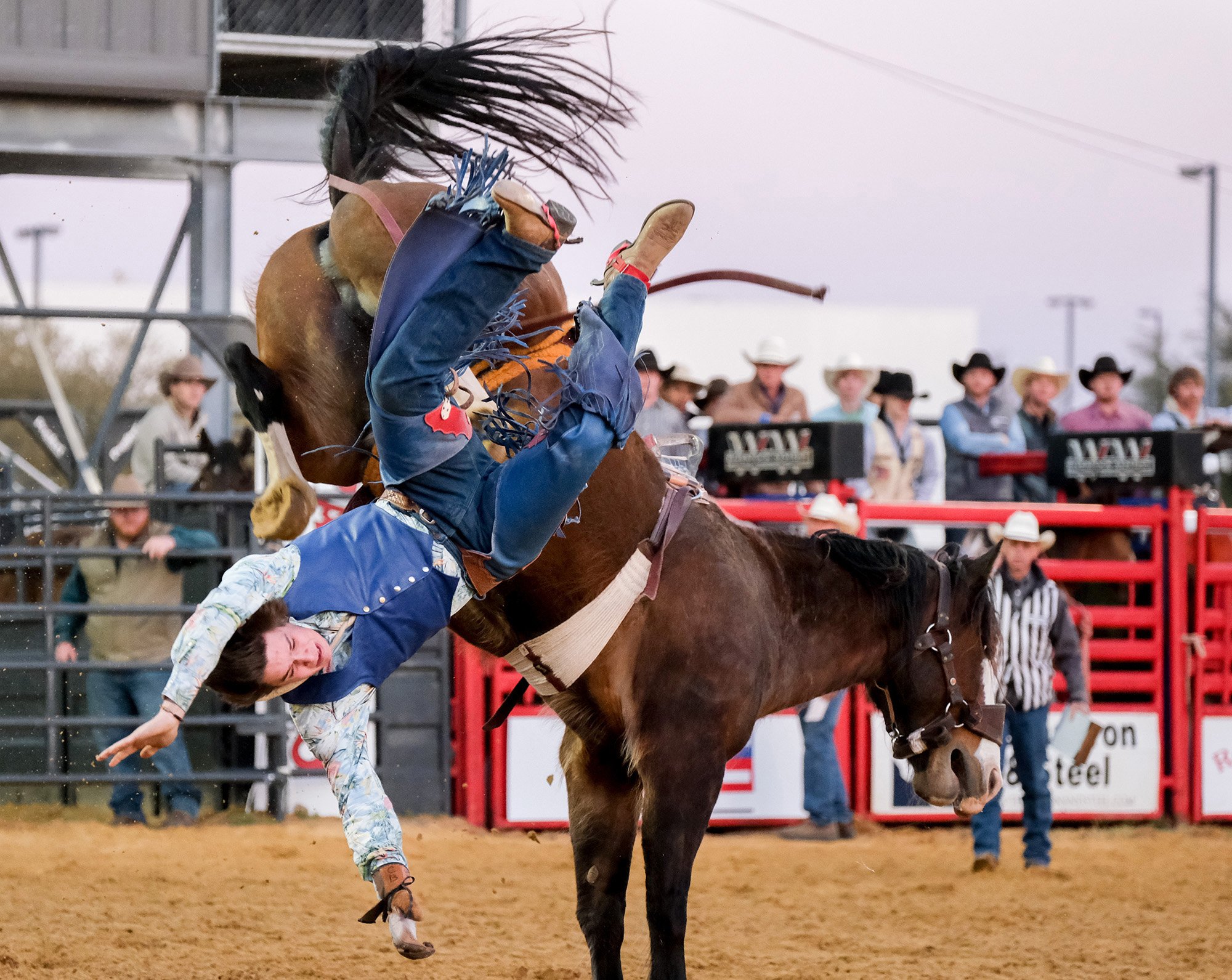 040822-Rodeo 1.jpg