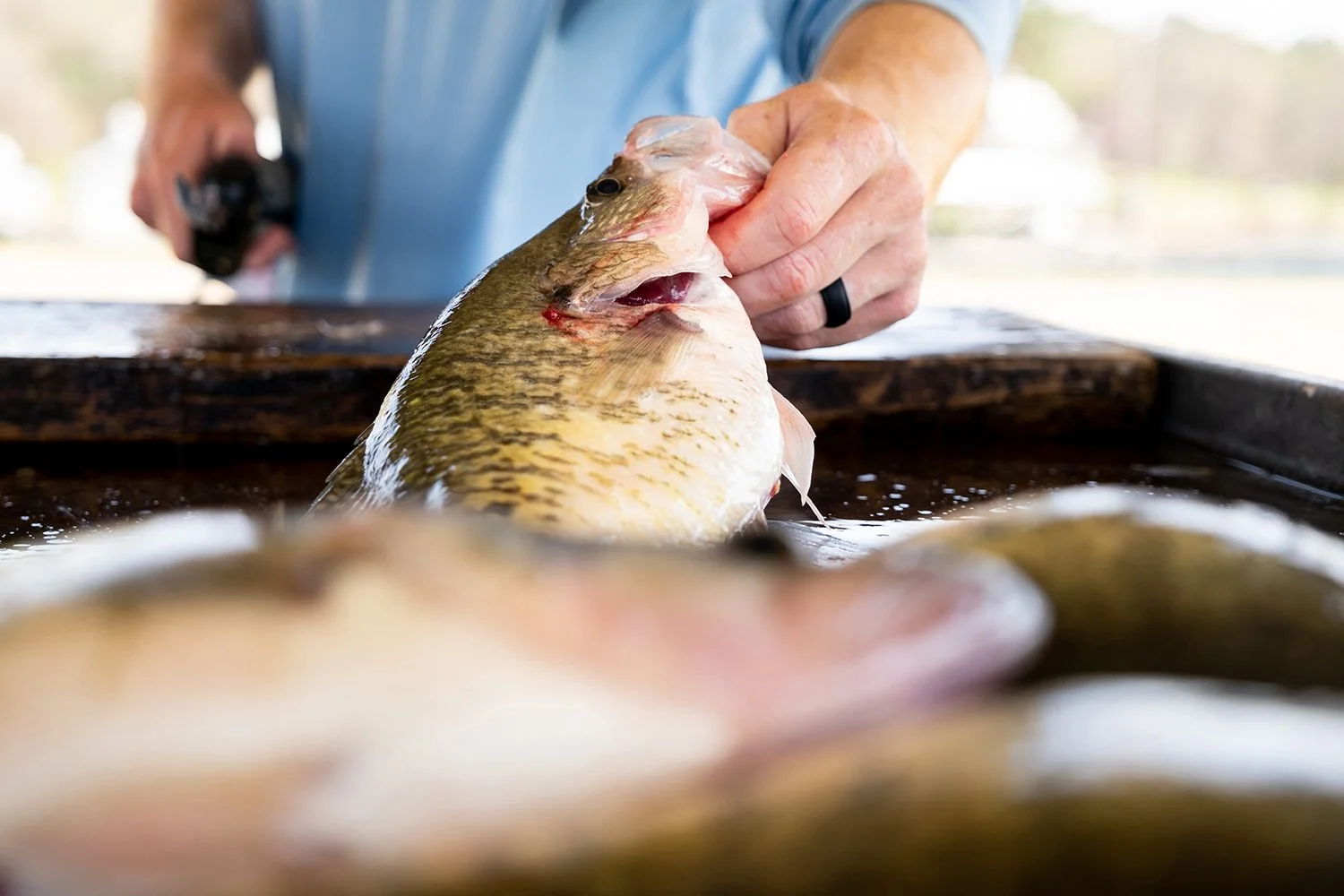 030623-Sam Parker 8.jpg