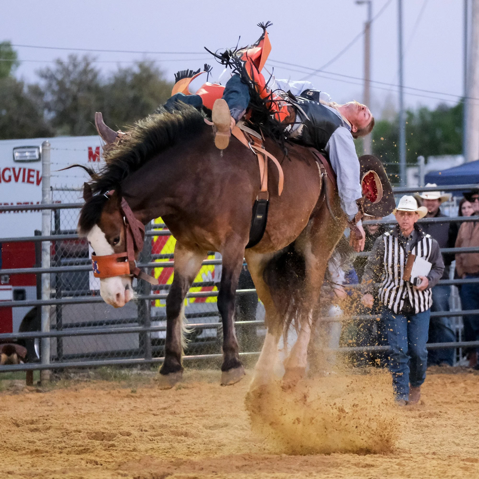 040822-Rodeo 4.jpg