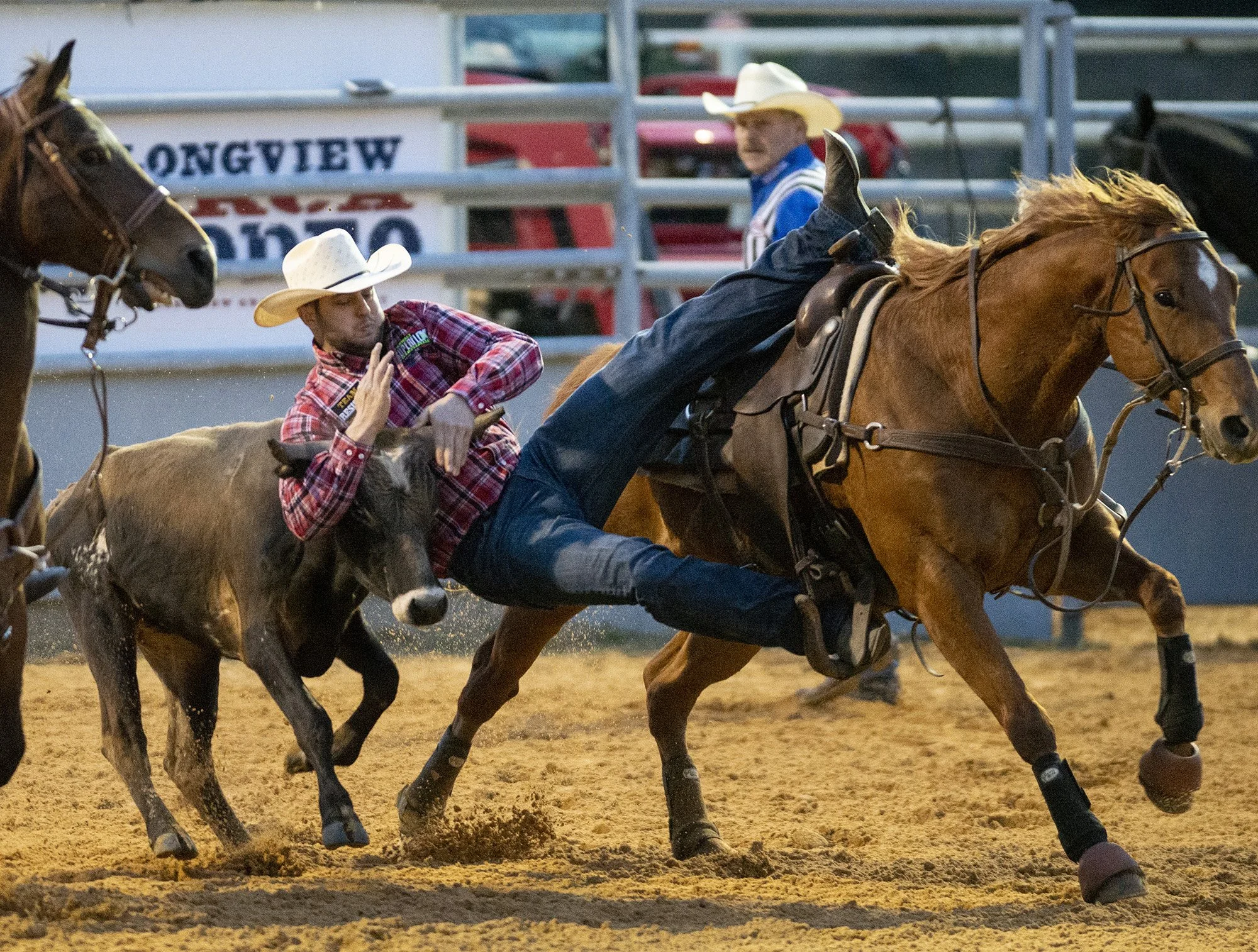 041219-Rodeo 7.jpg