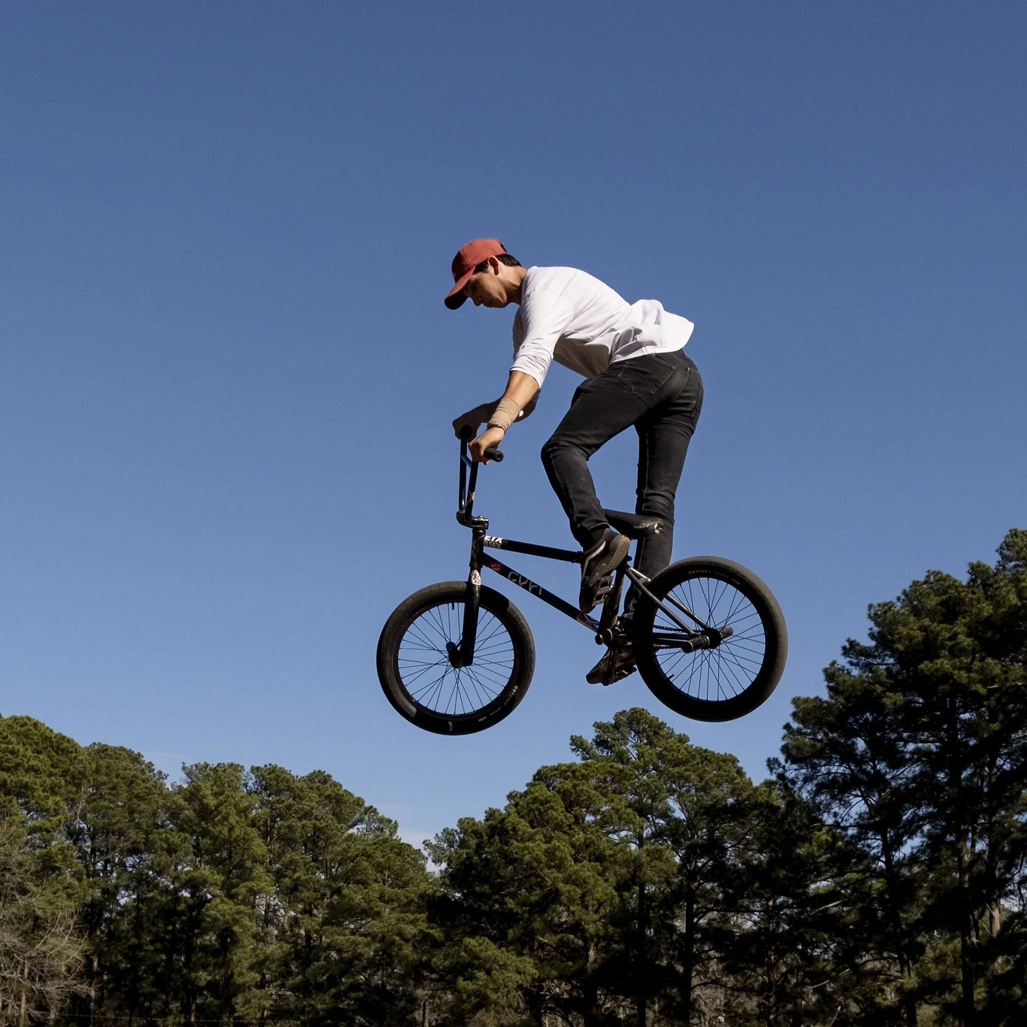 030421-Wild Art 1.jpg