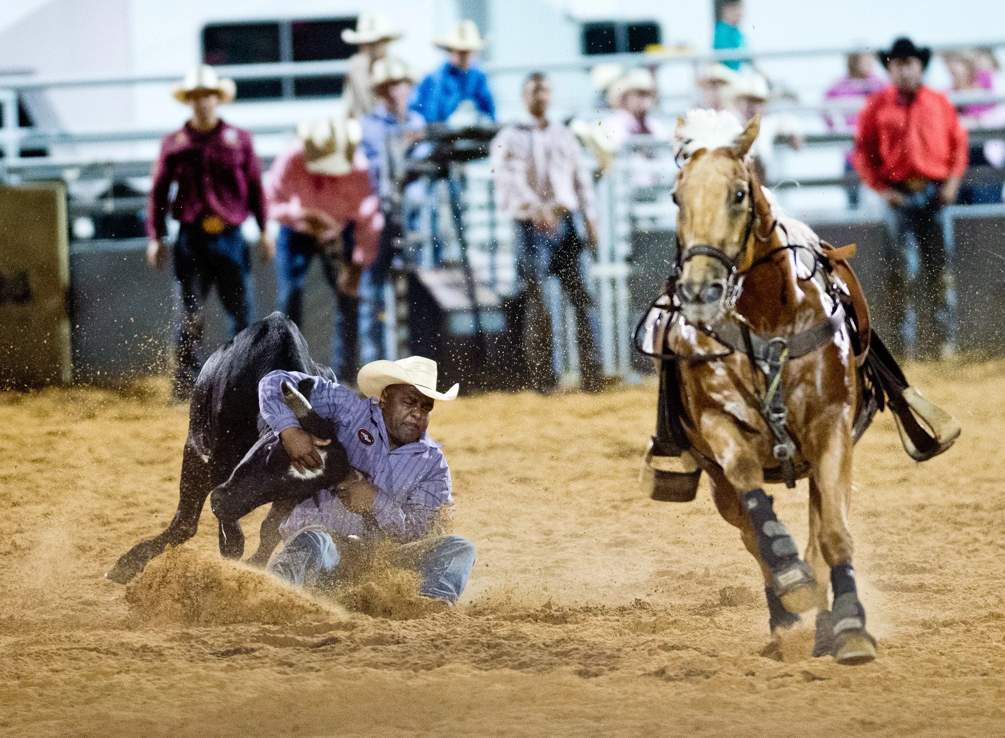 042117-Rodeo 7.jpg