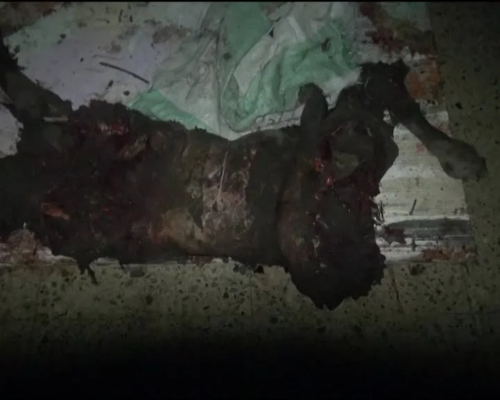 Unidentified - AlMocha, Yemen - 24 July 2015.jpg