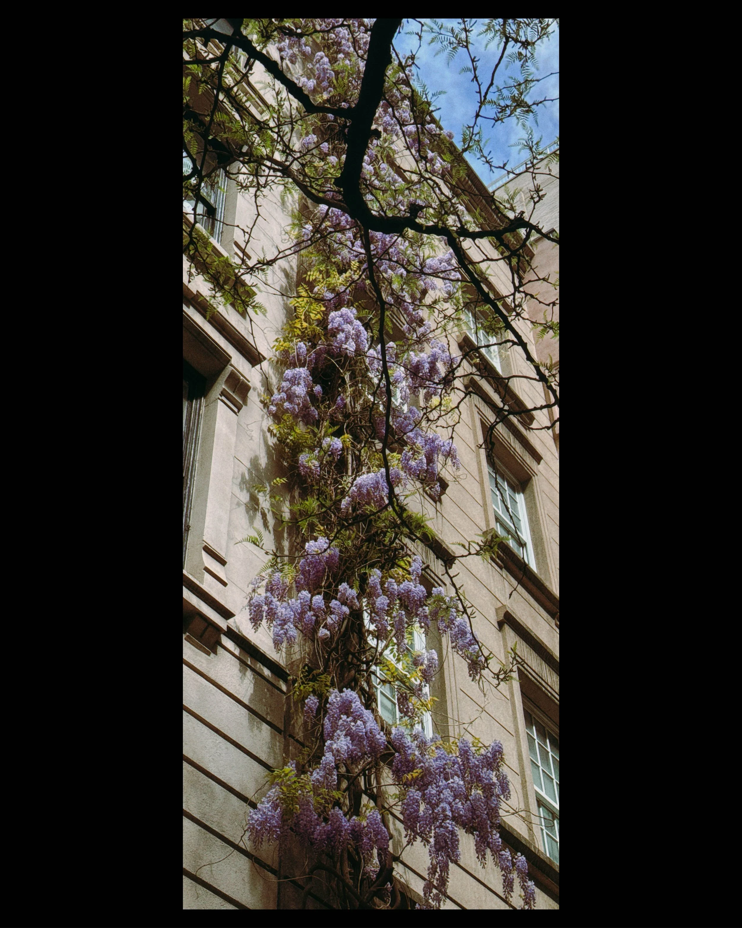 2026_NYC_Instagram_Web41.jpg