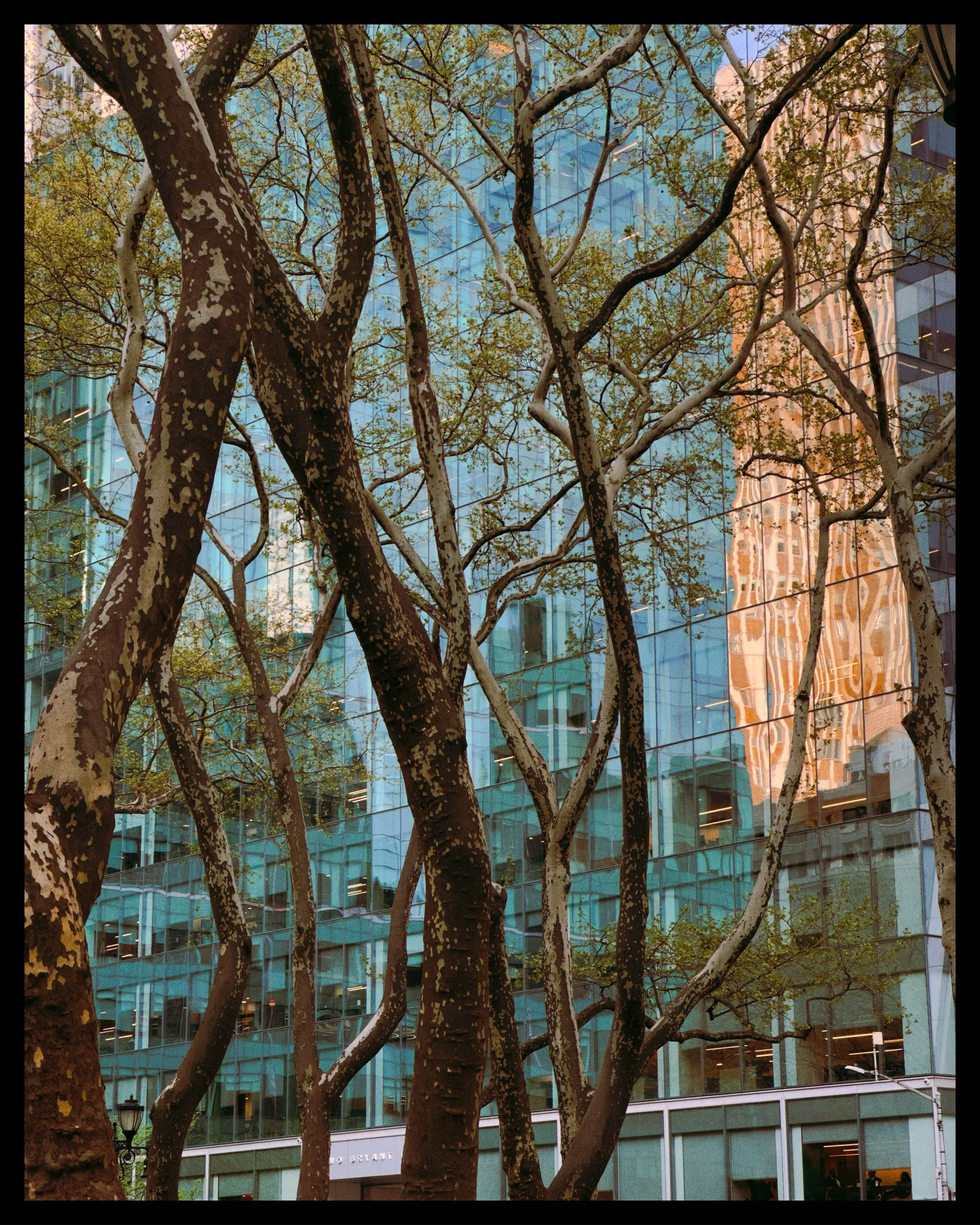 2026_NYC_Instagram_Web3.jpg