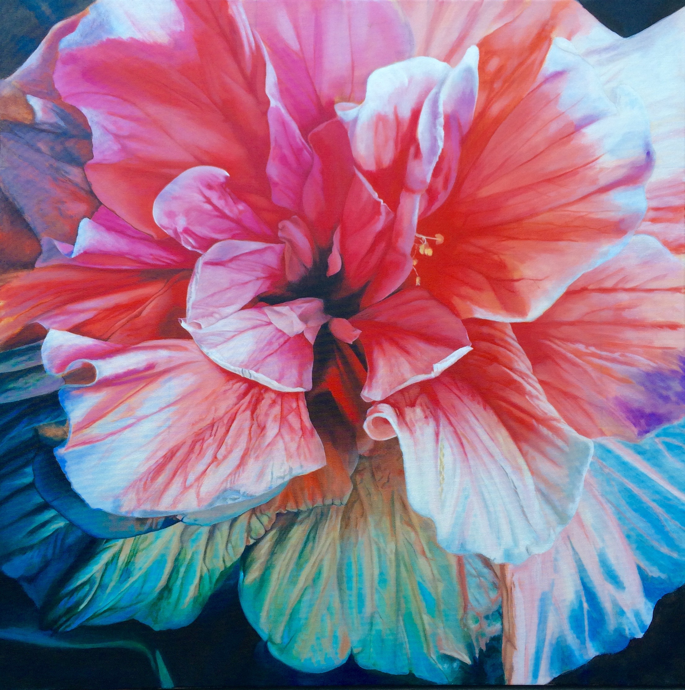 hibiscus2