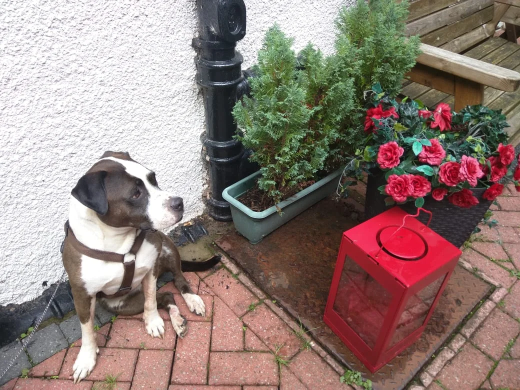 Photo Credit: Elkita. Lupe waiting for us outside of the tea room.