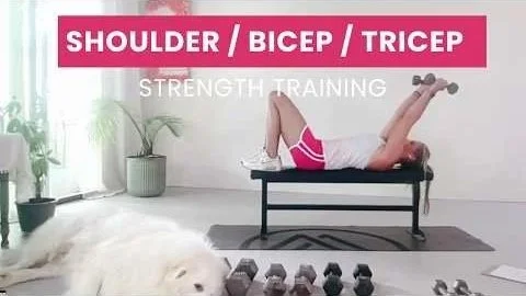 SHOULDER // BICEP // TRICEP - 4 SETS
