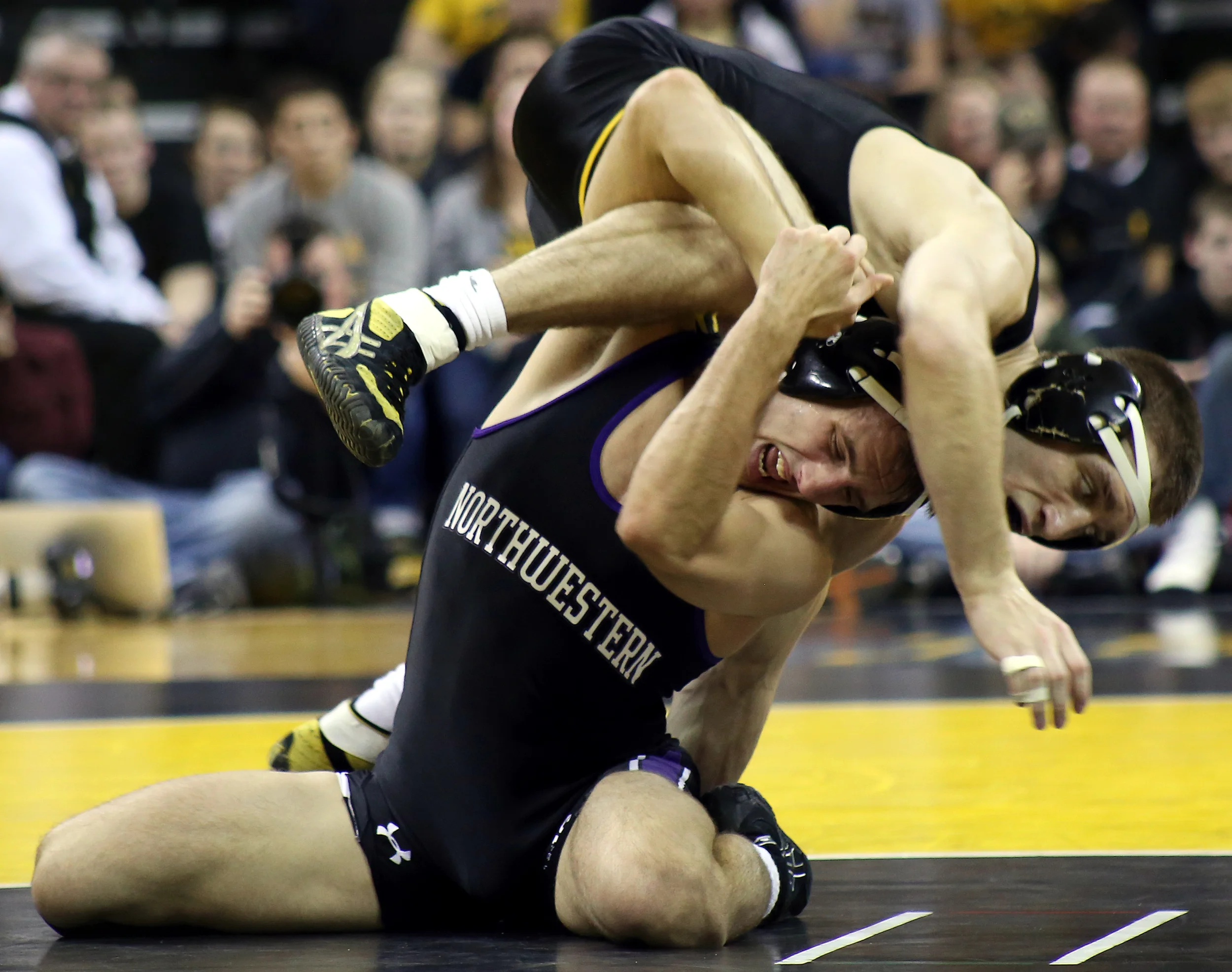 3/5: Alumni Preview - For Today!!!