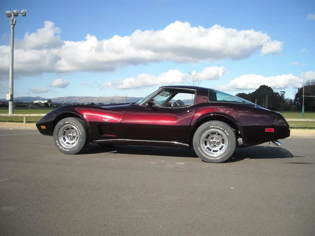 78 Chevrolet Corvette Stingray Custom Paint 3 (deleted e35b49fa6c93282af1ec66008b8923b9).JPG