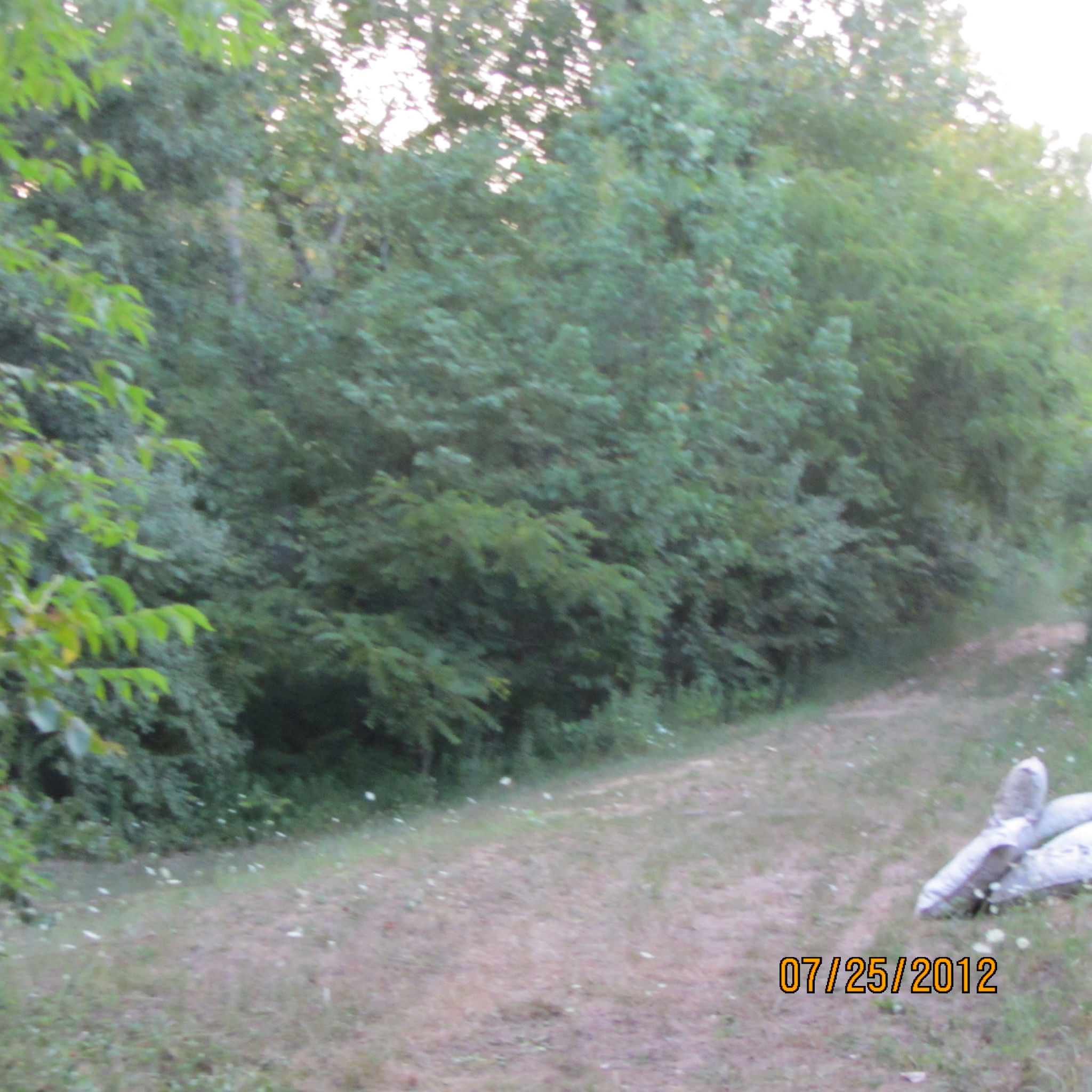 img_0321.jpg