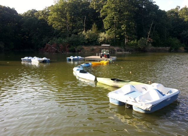 20120727_074151.jpeg