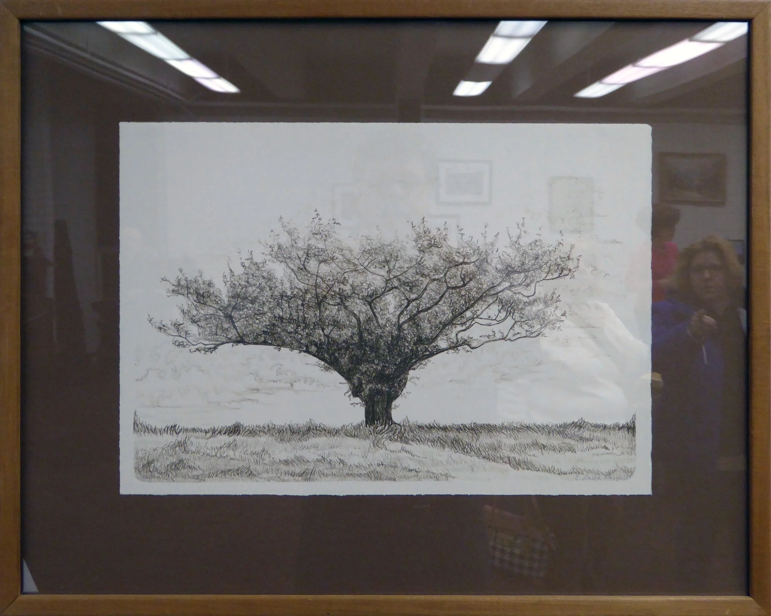 P1000062.jpg