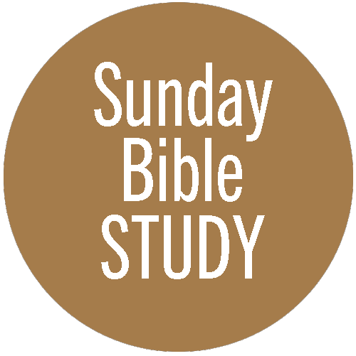 Sunday Bible Study