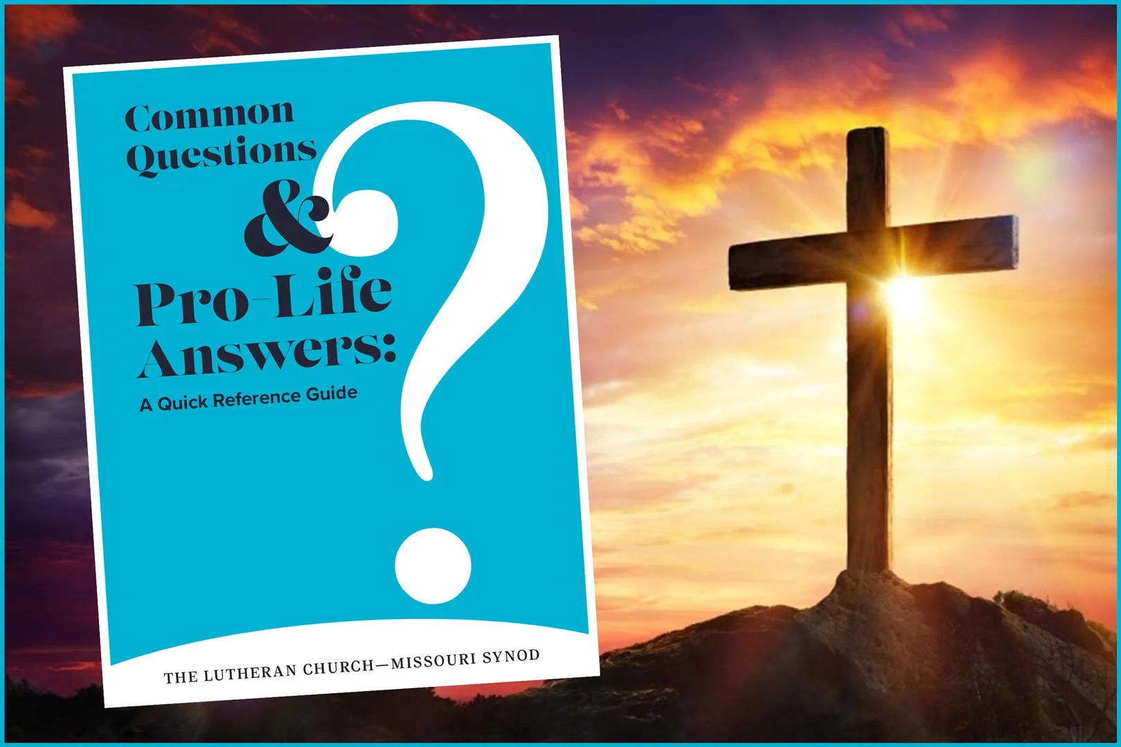Pro-Life-Questions-Download.jpg