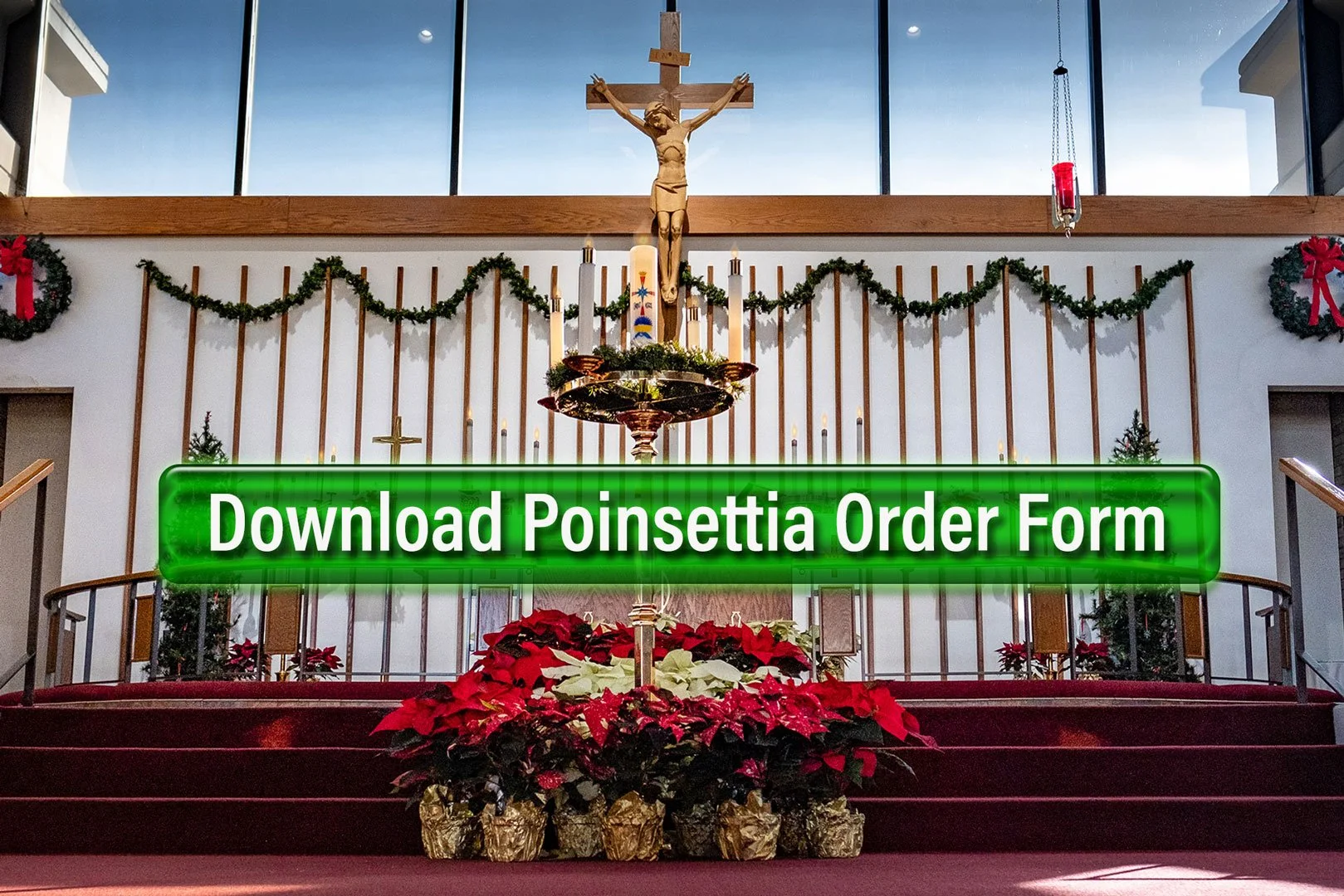 Poinsettia-Order-Form-3x2.jpg
