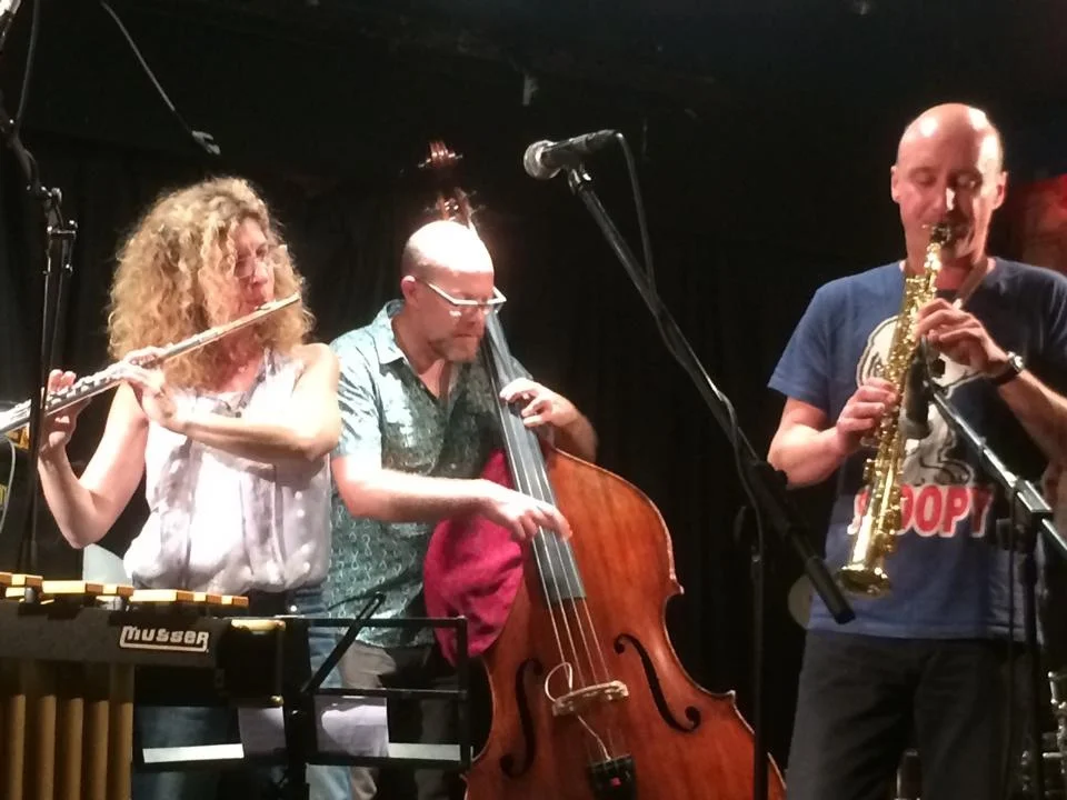  Concert in Dublin, Ireland (March 2014) 