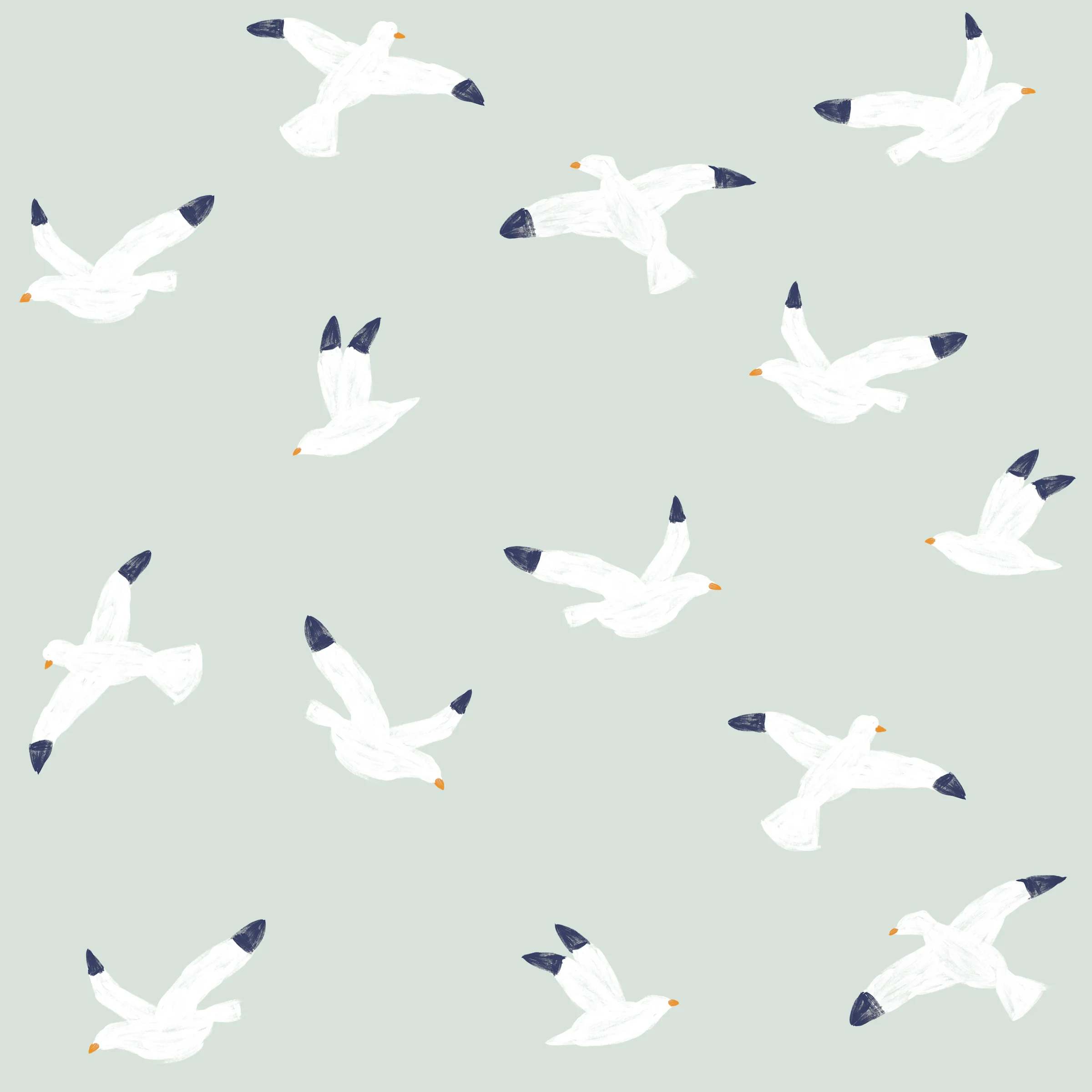 pearlstreet seagulls2.jpg