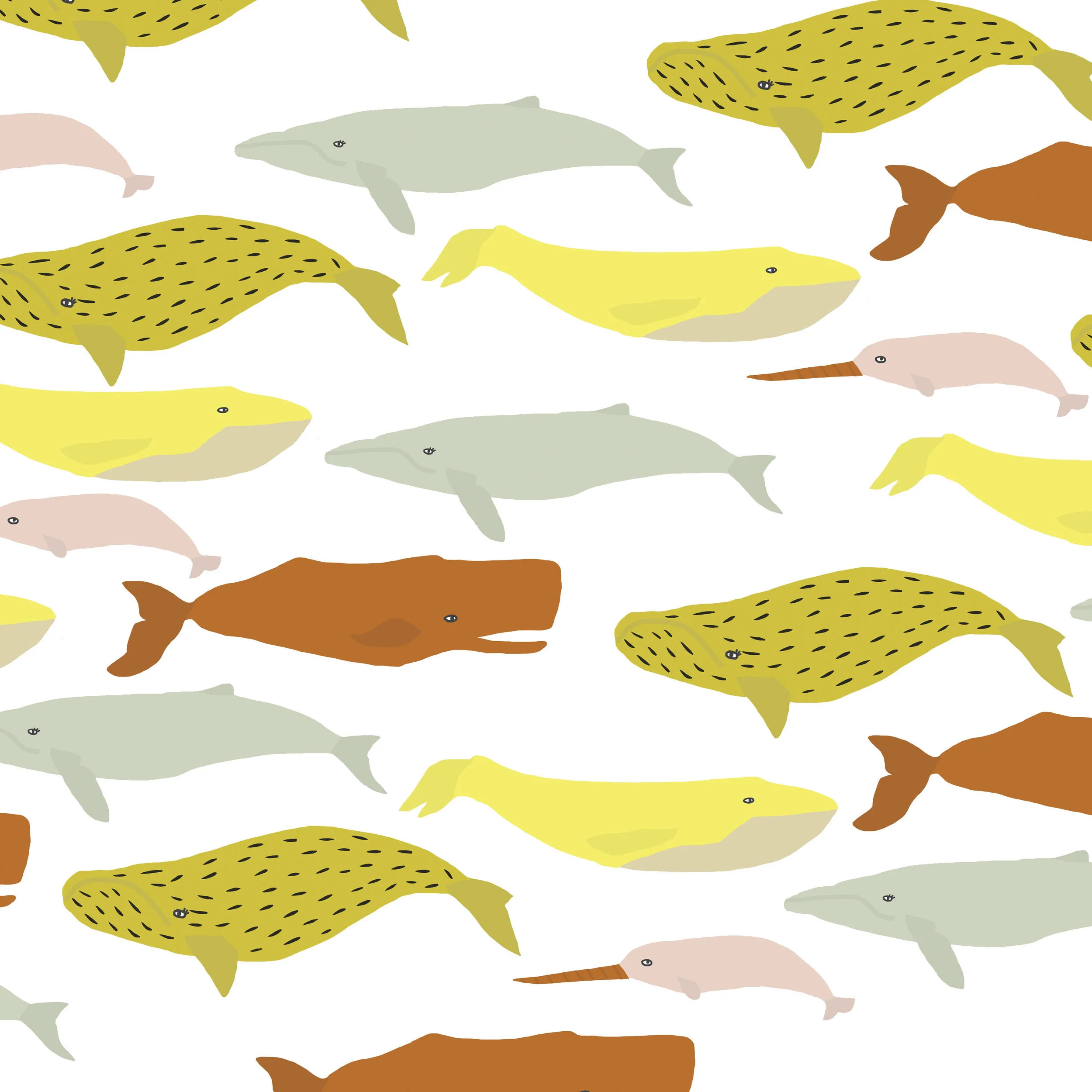 whales.jpg