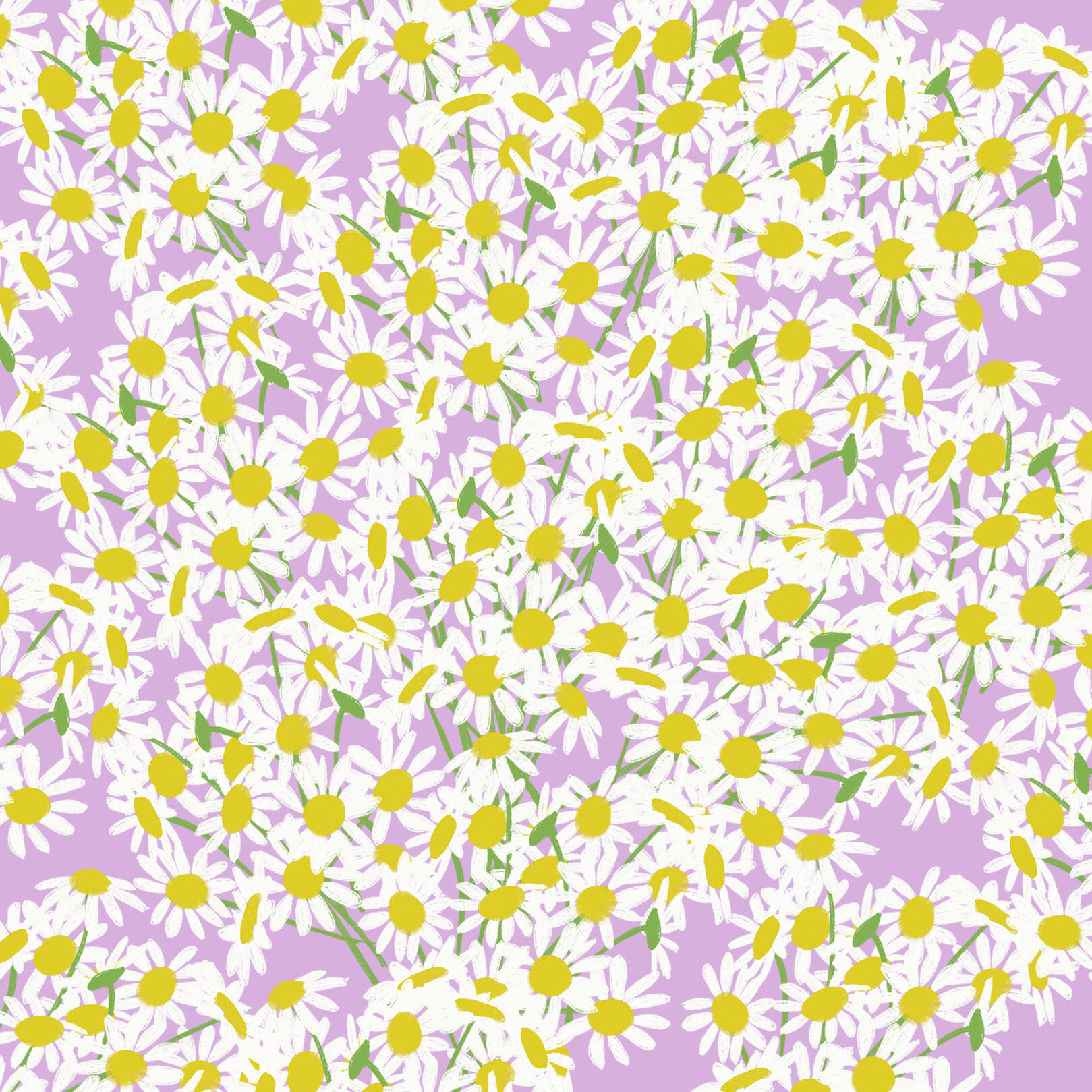mini daisies purple.jpg