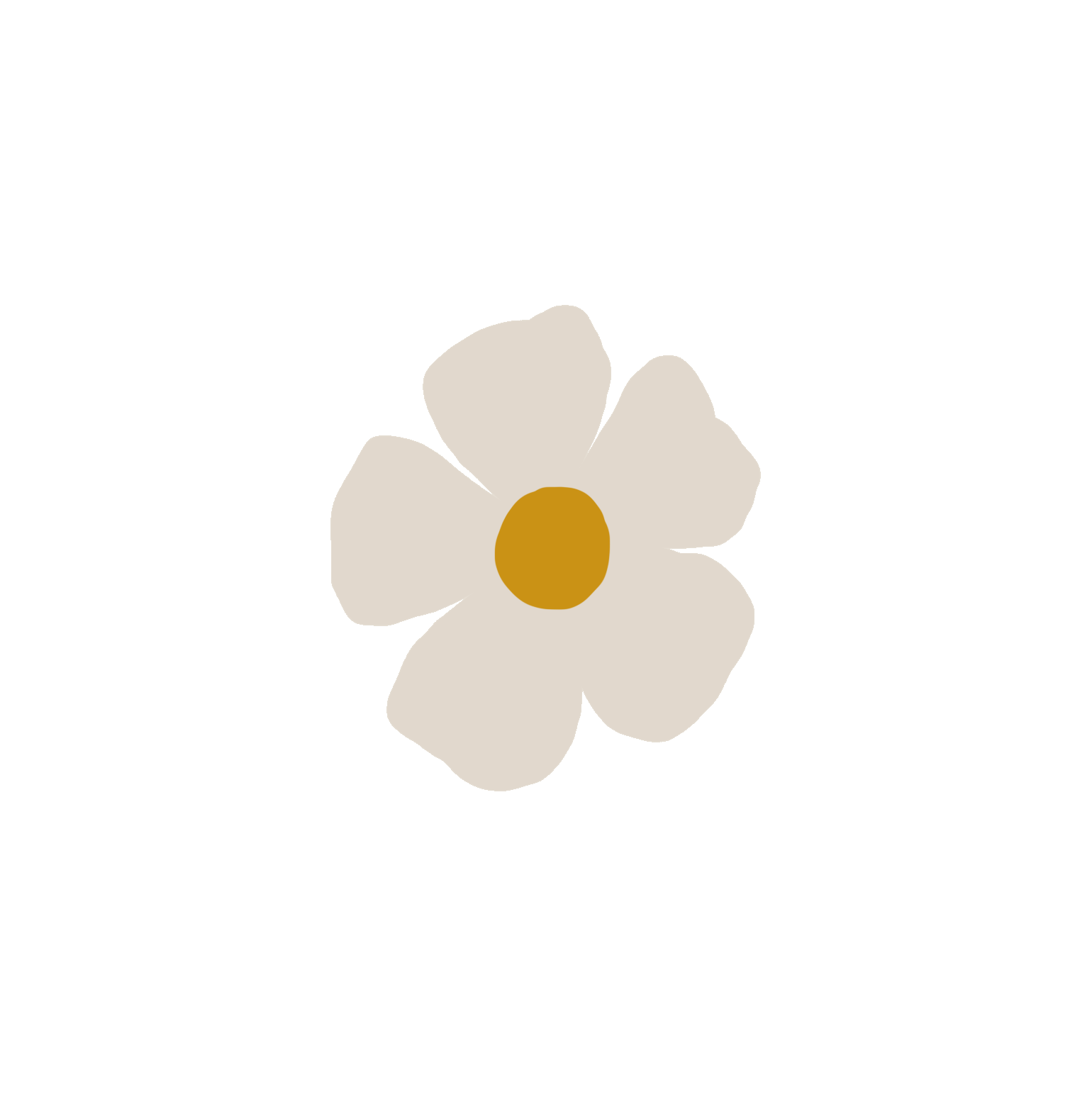 olivia-j-white-flower-gif.gif