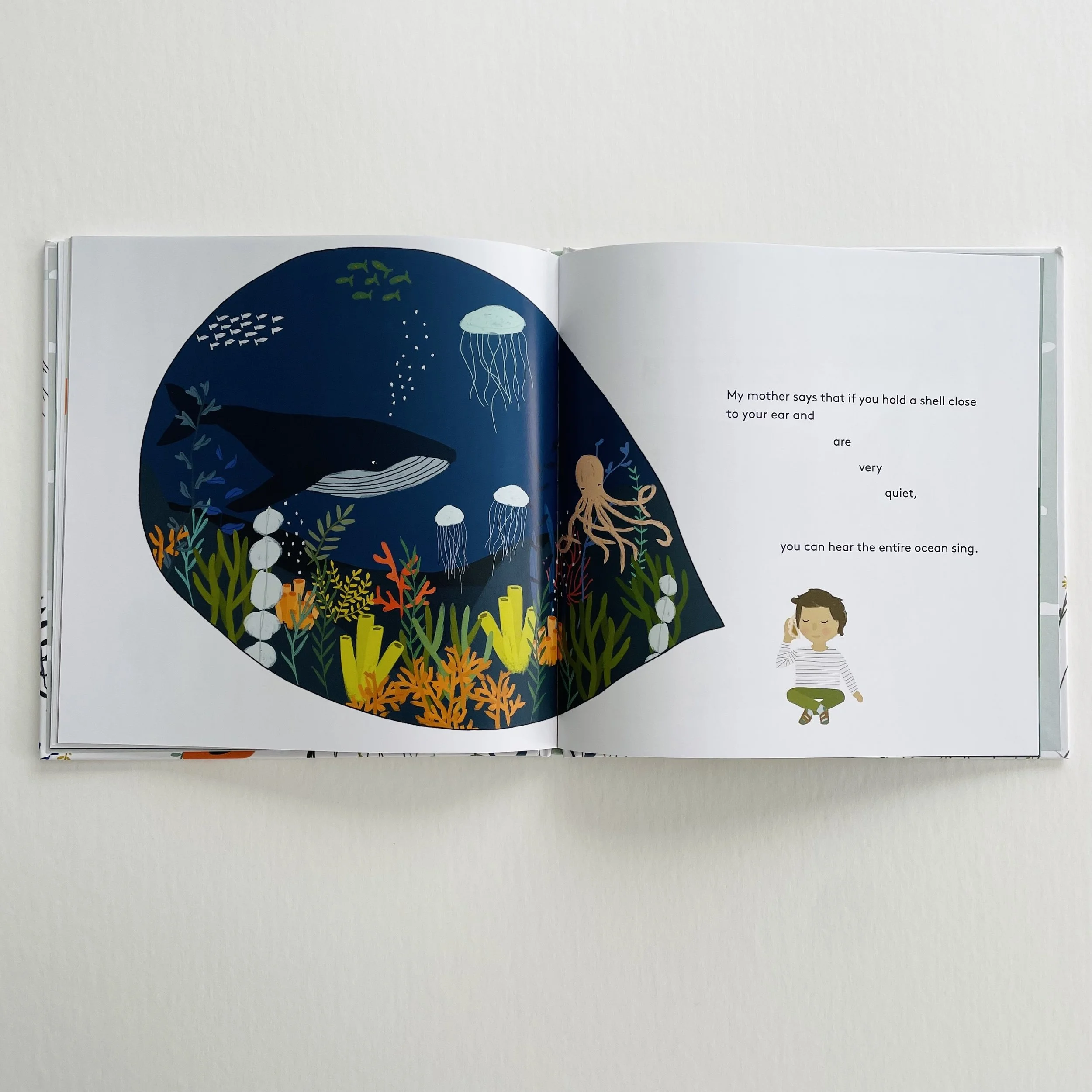 I Am Quiet shell spread.jpeg