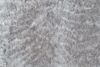 SNOWY GREY