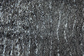 SNOWY CHARCOAL