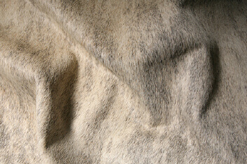 LIGHT BRINDLE