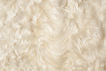 NATURAL IVORY