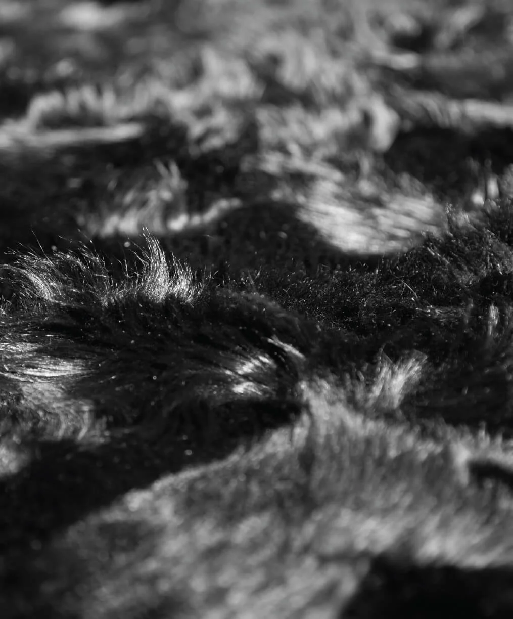detail_web_phantom.jpg