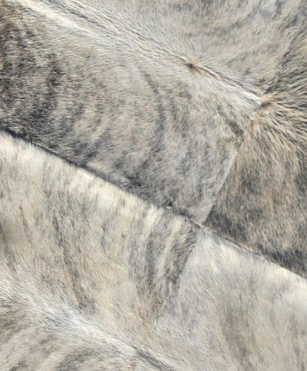 detail_web_oak_zebra.jpg