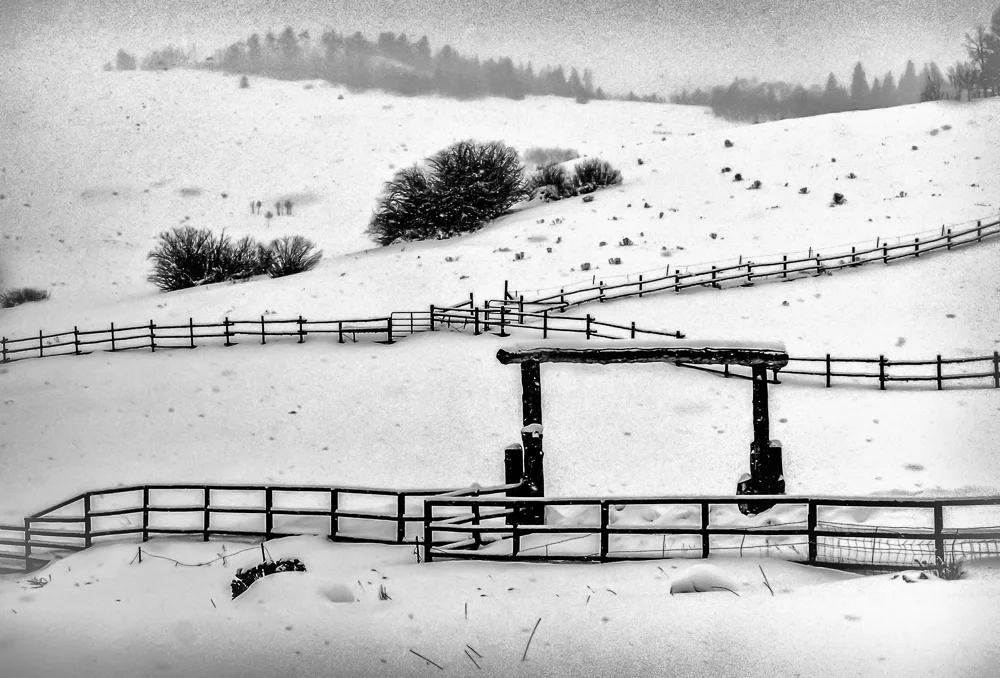 Snowscapes-1.jpg