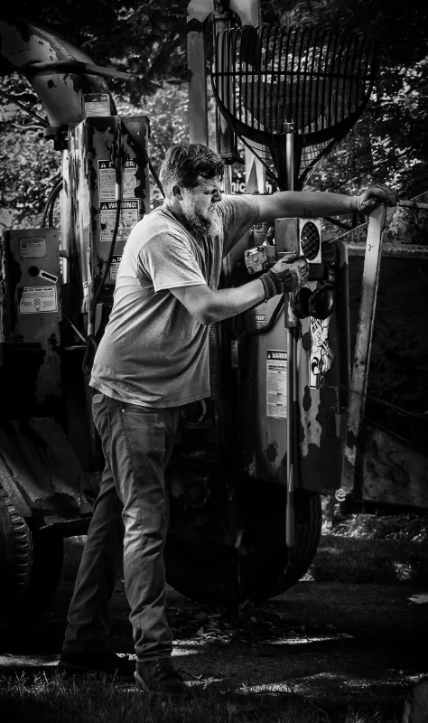 Cutting Trees-27.jpg