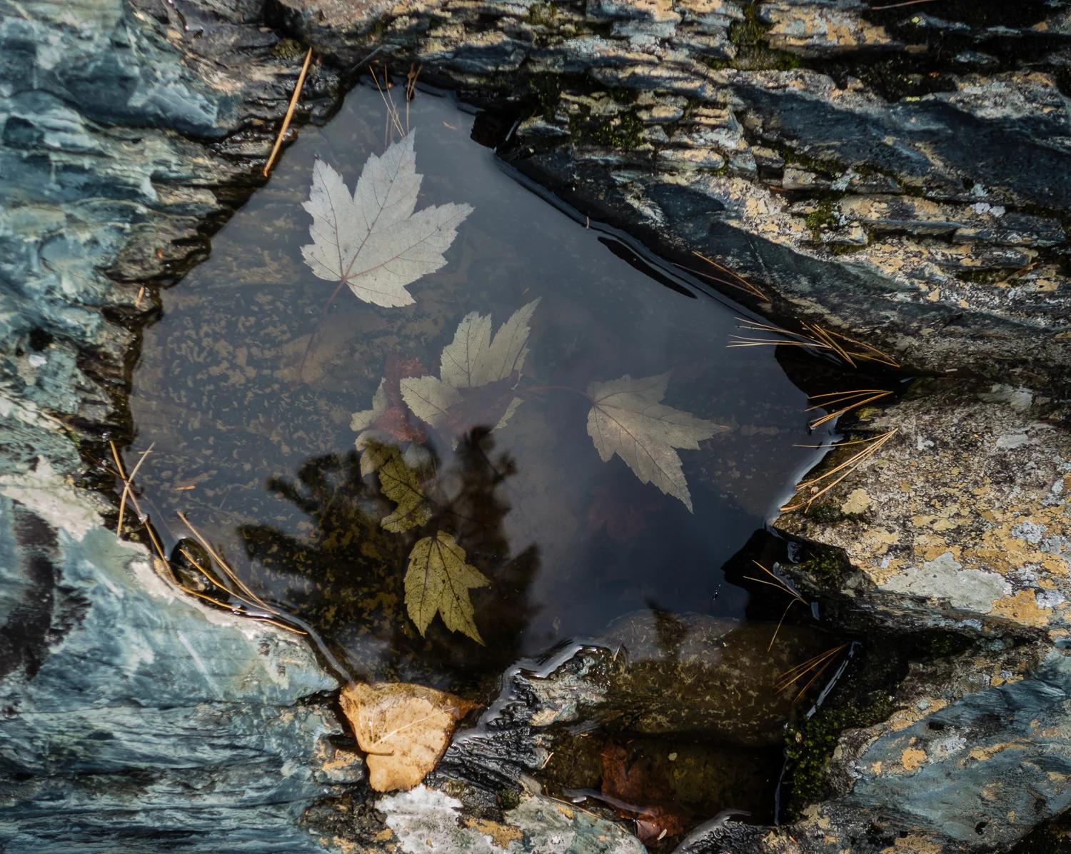 North Country-4.jpg