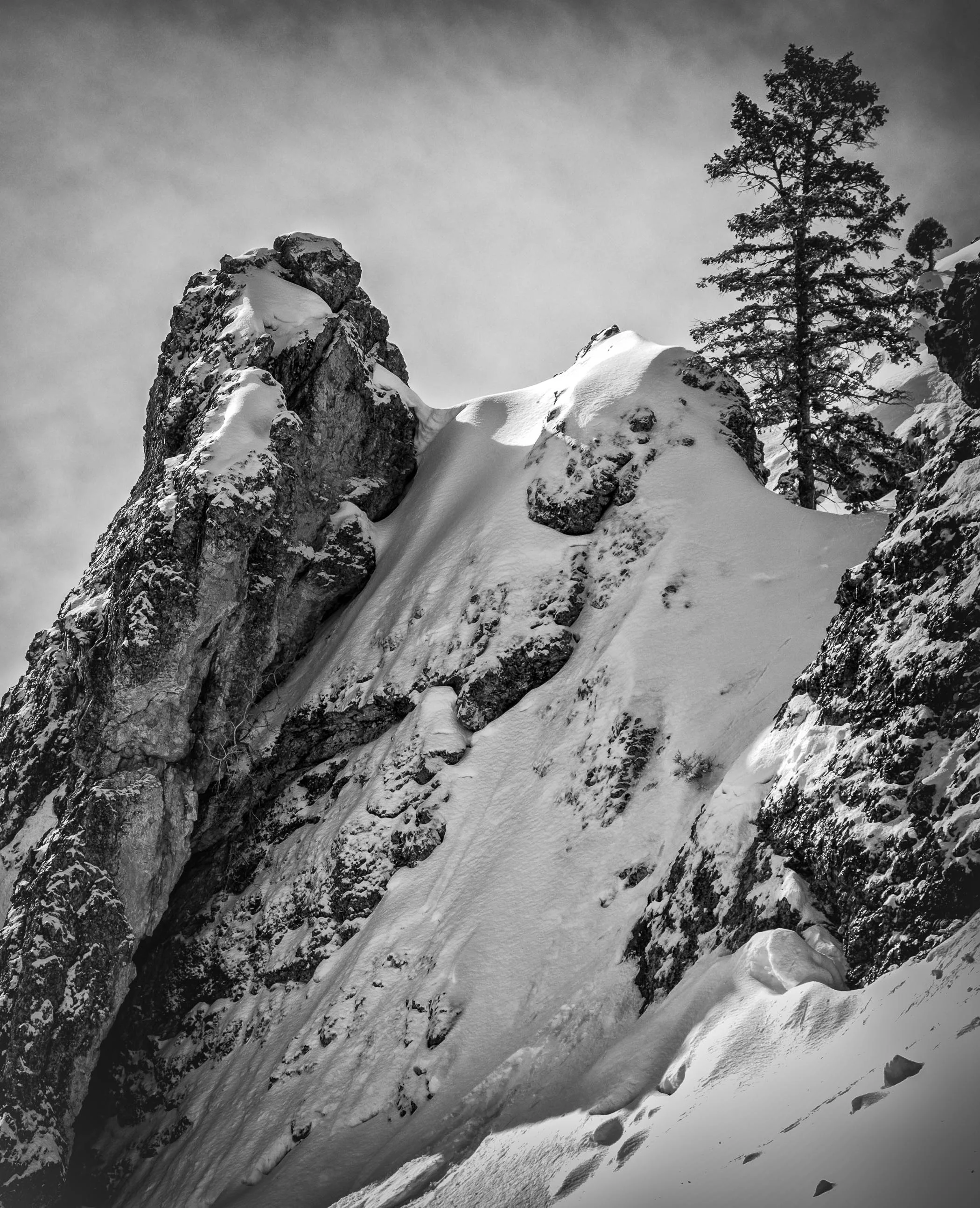 E. Rock and Trees, Powder Mt., UT, 2013.jpg